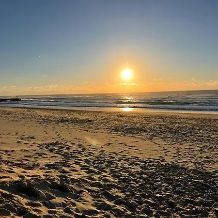 Villa Maison Neuve Proche De L'ocean Et Au Calme Mimizan