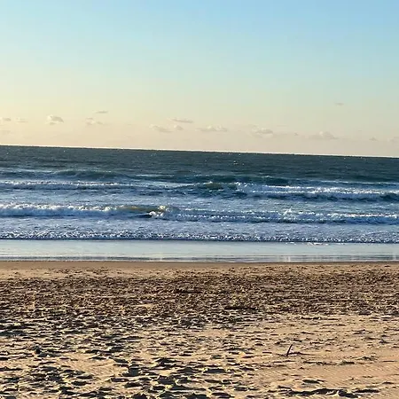 Maison Neuve Proche De L'ocean Et Au Calme Villa Mimizan