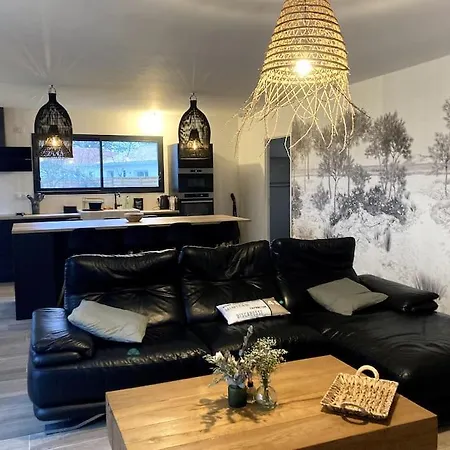 Maison Neuve Proche De L'ocean Et Au Calme Mimizan