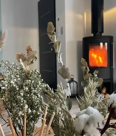 Maison Neuve Proche De L'ocean Et Au Calme Mimizan