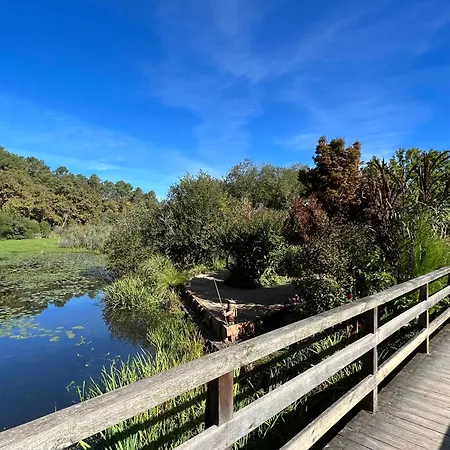 Maison Neuve Proche De L'ocean Et Au Calme Villa Mimizan-Plage